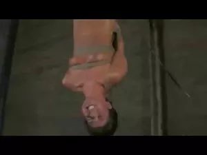 ველური სამიზნე სარკე ...